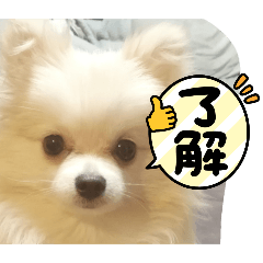 sugimonaka1
