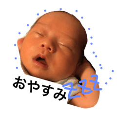 kotarolove
