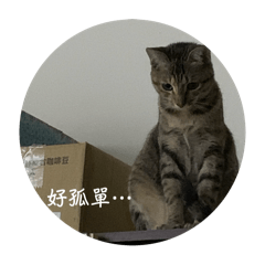 翠花有問題