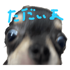 ri_20250408165105