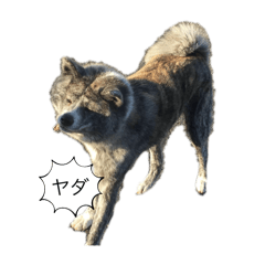 Toramin