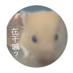 菜瓜有問題