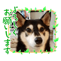 riri_20250408212446