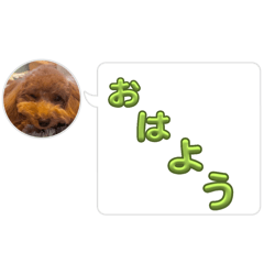 Haruka_20250408193536