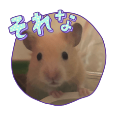 pamo itagaki