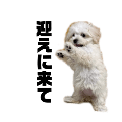 neko_20250408222559