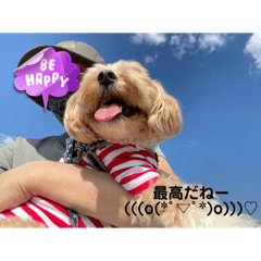 mumu._20250408222720