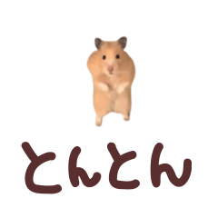 「とんとん」実写スタンプ