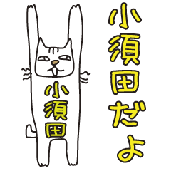 Only for Mr. Kosuda Banzai Cat new