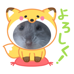 Neko_20250408204039