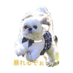 Natsu_20250408205337