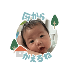 tom_202502