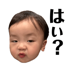 mi_20250408175229