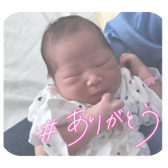 sena_20250408180402