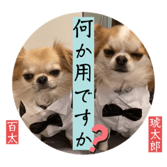 eri_20250408175857