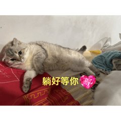 奶茶黑糖日常
