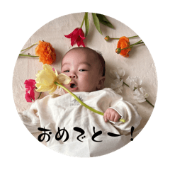 maimai_20250408191617
