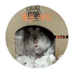 daifuku_20250407074603