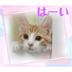 yuki_20250407214752