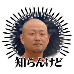 yama_20250407214844