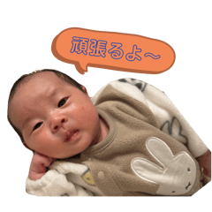 momo_20250409081210