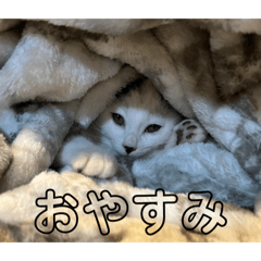 runa_20250408205909
