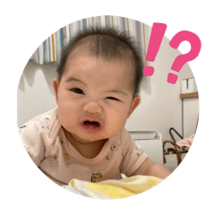張家三寶包