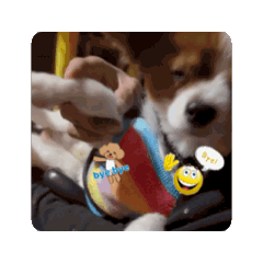 happy_20250408162958