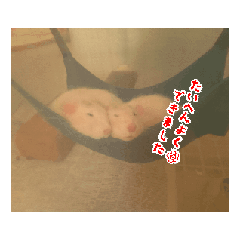 misaki_20250408164147