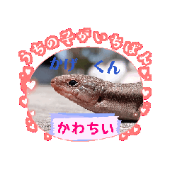 jyori_20250408192150