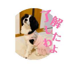 yuzu_20250408175841