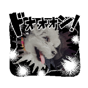 MM22_20250408154907