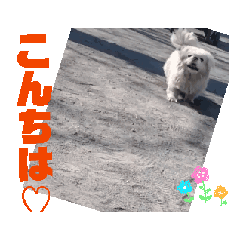 reiko_20250408154321