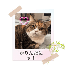 misaki_20250408230036