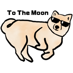 柴doge