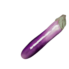fresh eggplant