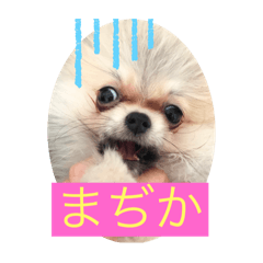 masa_20250409014019