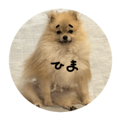 Lu_20030510