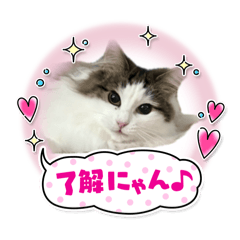 MIHO_20250409100934
