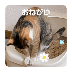 HARUKA_20250409101037
