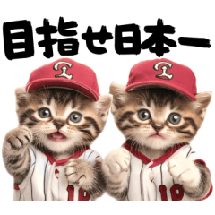 kawaii baseball cat