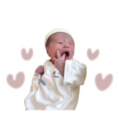 bibi_20250409114538