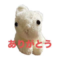 PON_20250408074415