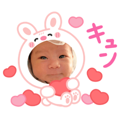 pu_20250409134309