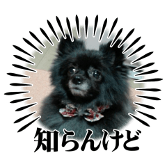 omochi_20250409135538