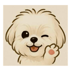 可愛瑪爾濟思