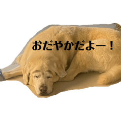 Mayu_20250408181248
