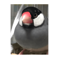 pipi_20250409170656