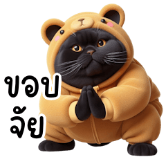 Black cat wearing a bear hood (BIG) v.2