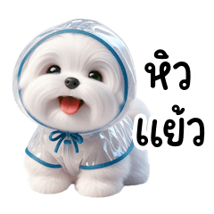 หน้าฝนแล้วน้า ดูแลสุขภาพด้วยฮ้าฟ (BIG)